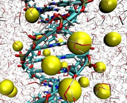 DNA1